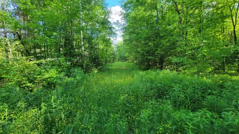 On Hunting River Road Elcho WI 54428