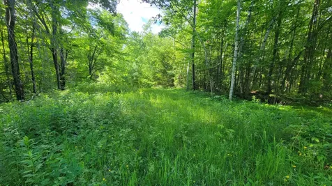 On Hunting River Road Elcho WI 54428