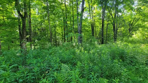 On Hunting River Road Elcho WI 54428
