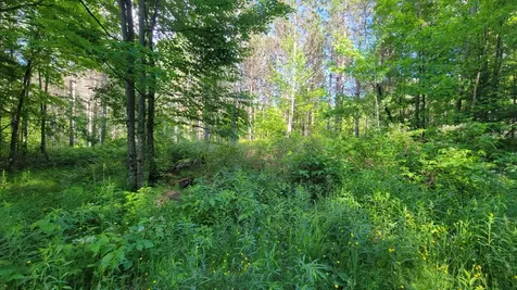 On Hunting River Road Elcho WI 54428