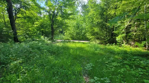 On Hunting River Road Elcho WI 54428