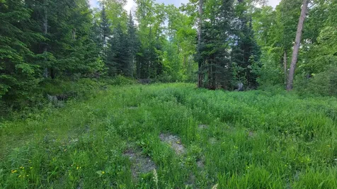 On Hunting River Road Elcho WI 54428