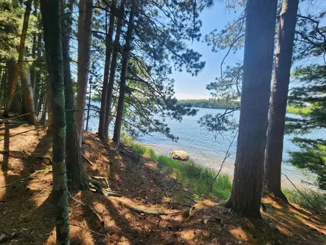 8400 Big Ripley Island Minocqua WI 54548
