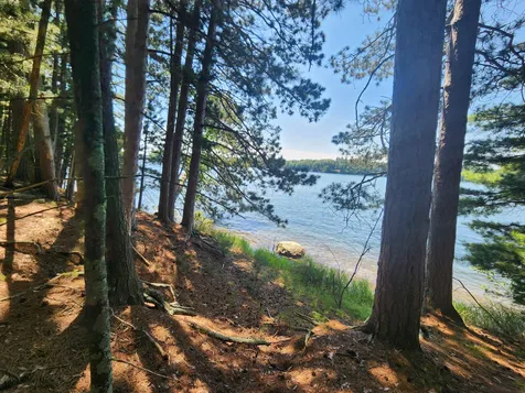8400 Big Ripley Island Minocqua WI 54548