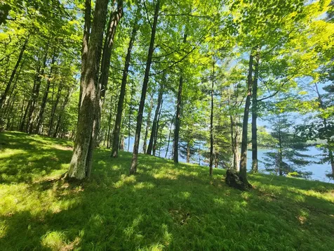 8400 Big Ripley Island Minocqua WI 54548