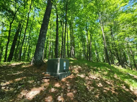 8400 Big Ripley Island Minocqua WI 54548