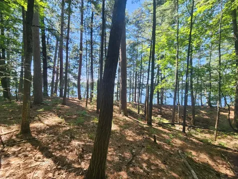 8400 Big Ripley Island Minocqua WI 54548
