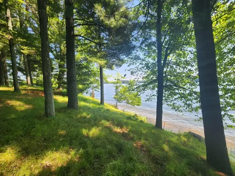 8400 Big Ripley Island Minocqua WI 54548