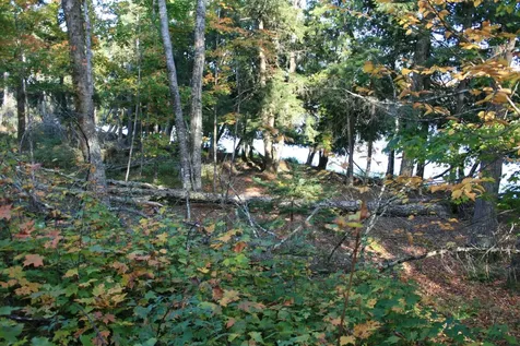 Tbd University Drive Iron River MI 49935