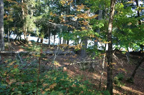 Tbd University Drive Iron River MI 49935