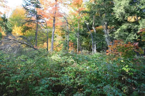 Tbd University Drive Iron River MI 49935