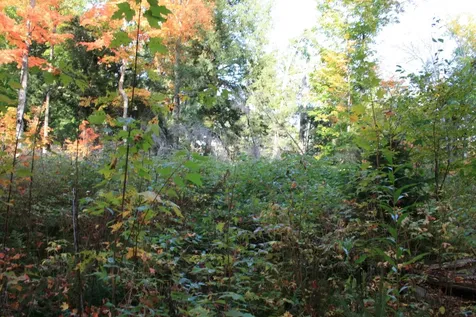 Tbd University Drive Iron River MI 49935