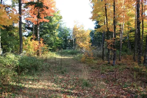 Tbd University Drive Iron River MI 49935