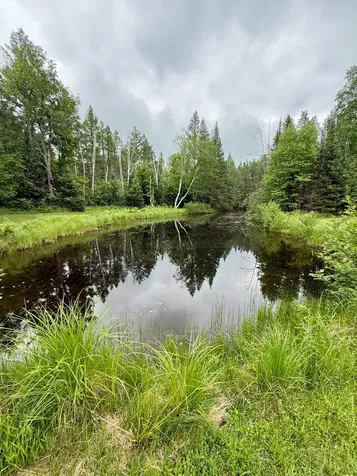 10543 Pat Phalen Road Crandon WI 54520