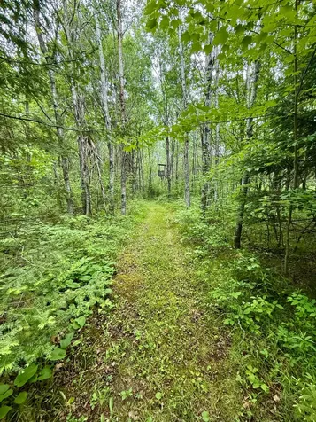 10543 Pat Phalen Road Crandon WI 54520