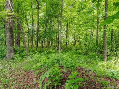 709 Wildwood Lane Merrill WI 54452