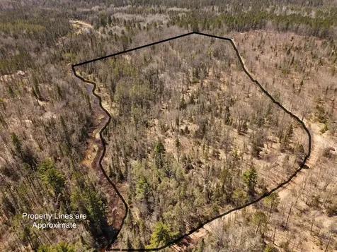 15.86 Ac Mill Creek Lane Land O Lakes WI 54540