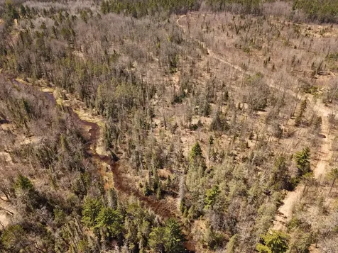15.86 Ac Mill Creek Lane Land O Lakes WI 54540