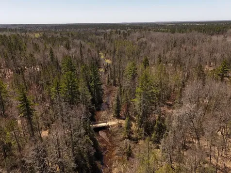 15.86 Ac Mill Creek Lane Land O Lakes WI 54540