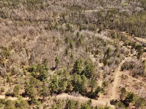 15.86 Ac Mill Creek Lane Land O Lakes WI 54540