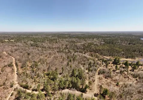 15.86 Ac Mill Creek Lane Land O Lakes WI 54540