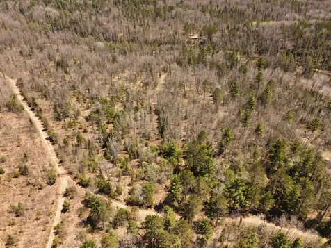 15.86 Ac Mill Creek Lane Land O Lakes WI 54540