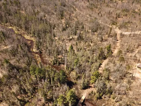 15.86 Ac Mill Creek Lane Land O Lakes WI 54540