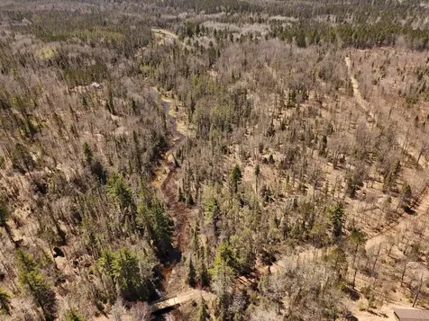 15.86 Ac Mill Creek Lane Land O Lakes WI 54540