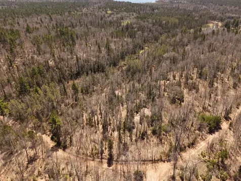 15.86 Ac Mill Creek Lane Land O Lakes WI 54540