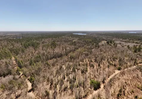 15.86 Ac Mill Creek Lane Land O Lakes WI 54540