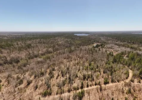 15.86 Ac Mill Creek Lane Land O Lakes WI 54540