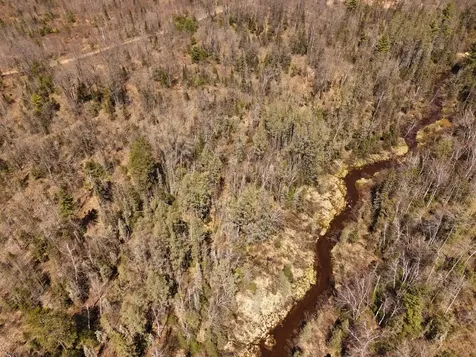15.86 Ac Mill Creek Lane Land O Lakes WI 54540