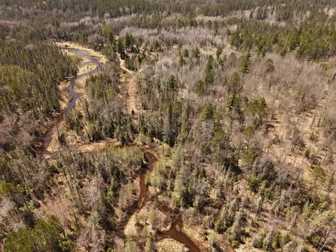 15.86 Ac Mill Creek Lane Land O Lakes WI 54540