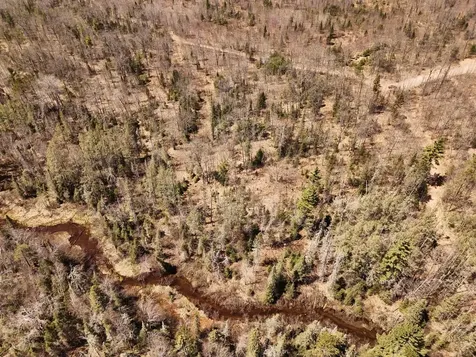 15.86 Ac Mill Creek Lane Land O Lakes WI 54540