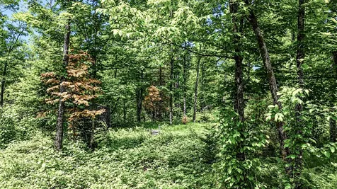 87978 Cth F Butternut WI 54514