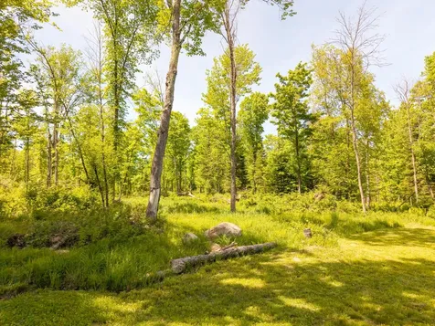 87978 Cth F Butternut WI 54514