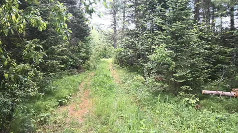 15545 Highway 45 Bruce Crossing MI 49912
