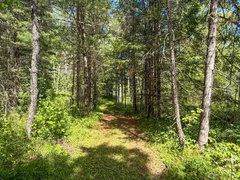 N12226 Highway 13 Fifield WI 54524