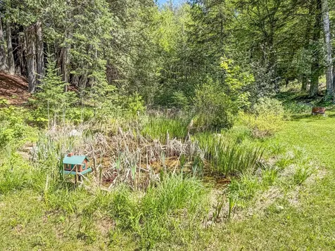 65916 Fischer Road Butternut WI 54514