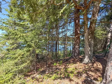 65916 Fischer Road Butternut WI 54514