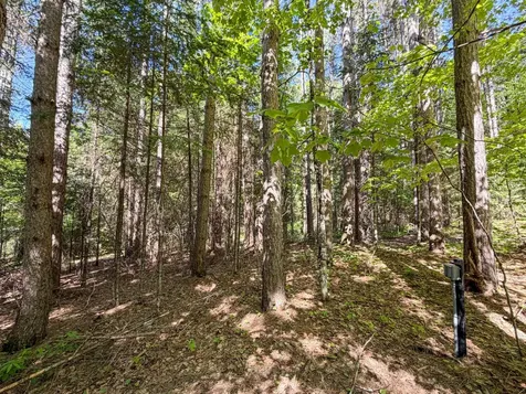 65916 Fischer Road Butternut WI 54514