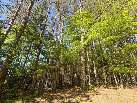 65916 Fischer Road Butternut WI 54514