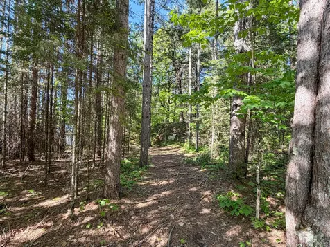 65916 Fischer Road Butternut WI 54514