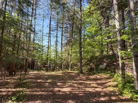 65916 Fischer Road Butternut WI 54514