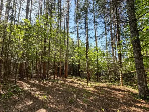 65916 Fischer Road Butternut WI 54514