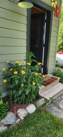 3903 Tamarack Lake Road W Watersmeet MI 49969