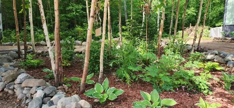 3903 Tamarack Lake Road W Watersmeet MI 49969