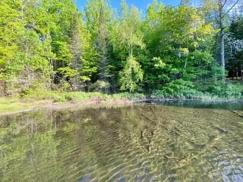7002 Crab Lake Road Presque Isle WI 54557