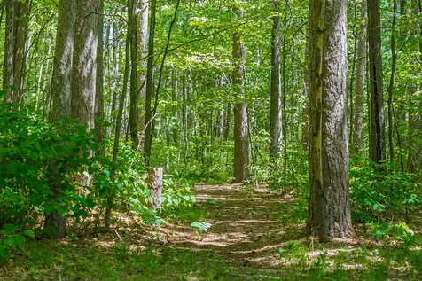 W5321 Stonewood Road Tomahawk WI 54487