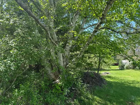 421 Cary Road Hurley WI 54534